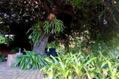 WhatsApp-Image-2025-03-11-at-21.13.04