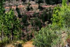 9f977425-f2ee-4bd4-8cbd-de5f5b45b67e