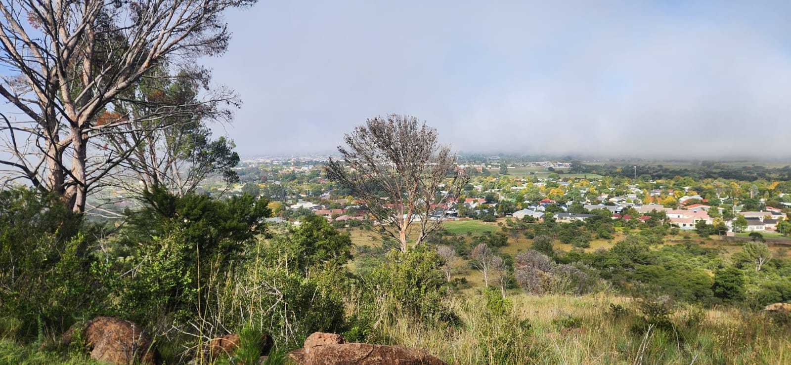 View from Longhill