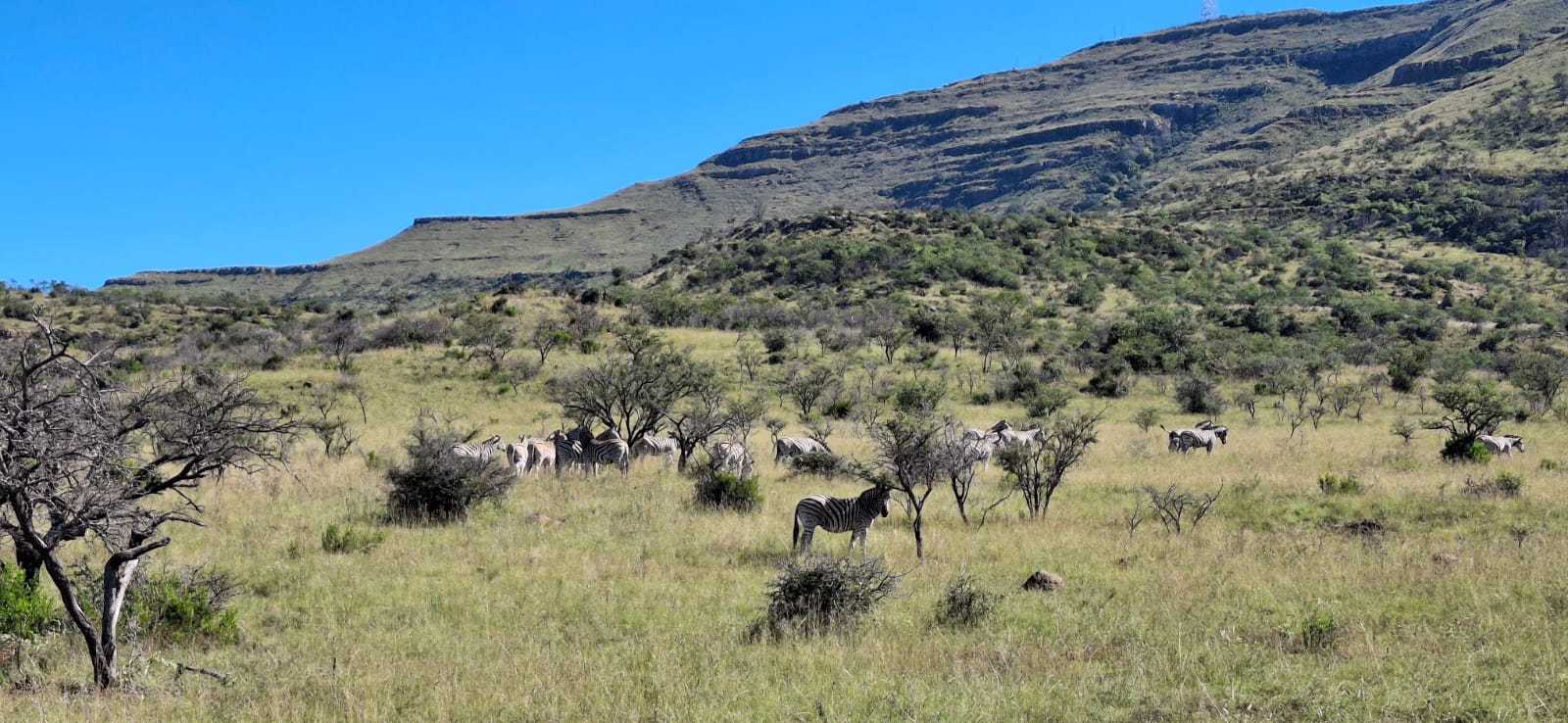 Lawrence De Lange Nature Reserve