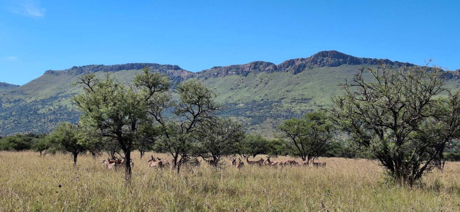 Lawrence De Lange Nature Reserve