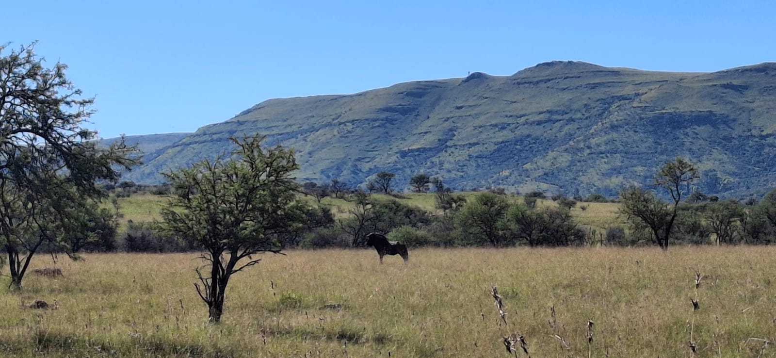 Lawrence De Lange Nature Reserve