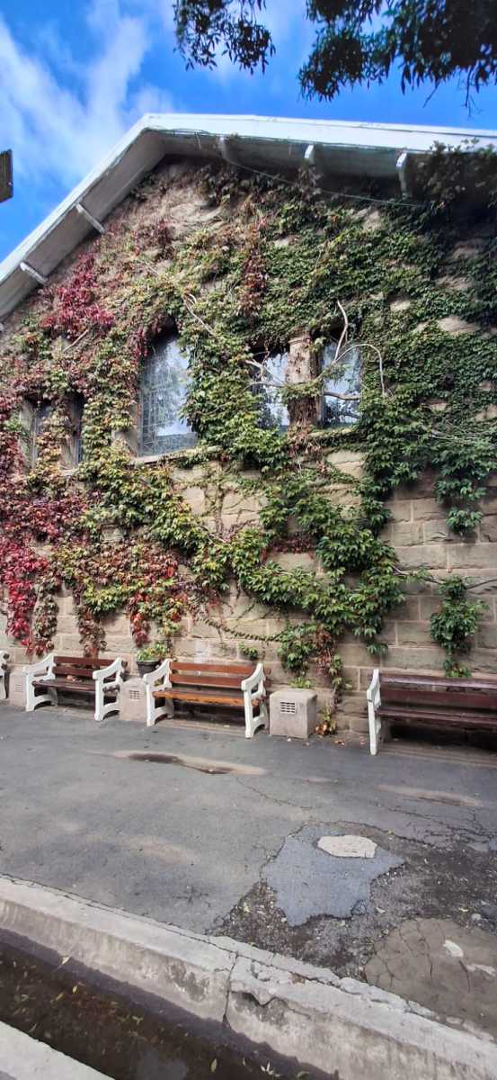 Old School Building