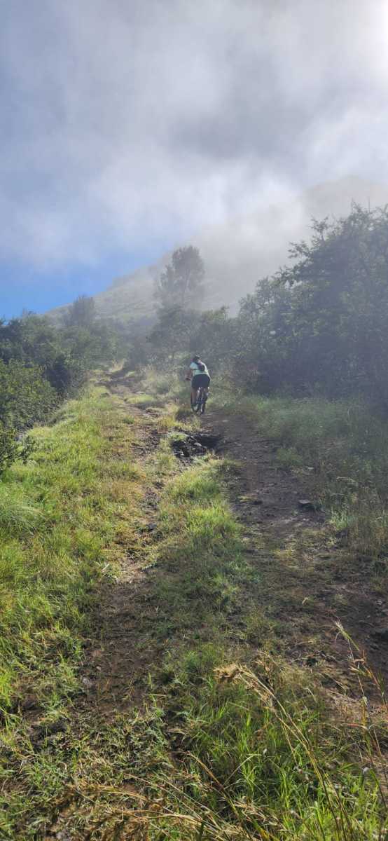 Cyclists in the mist